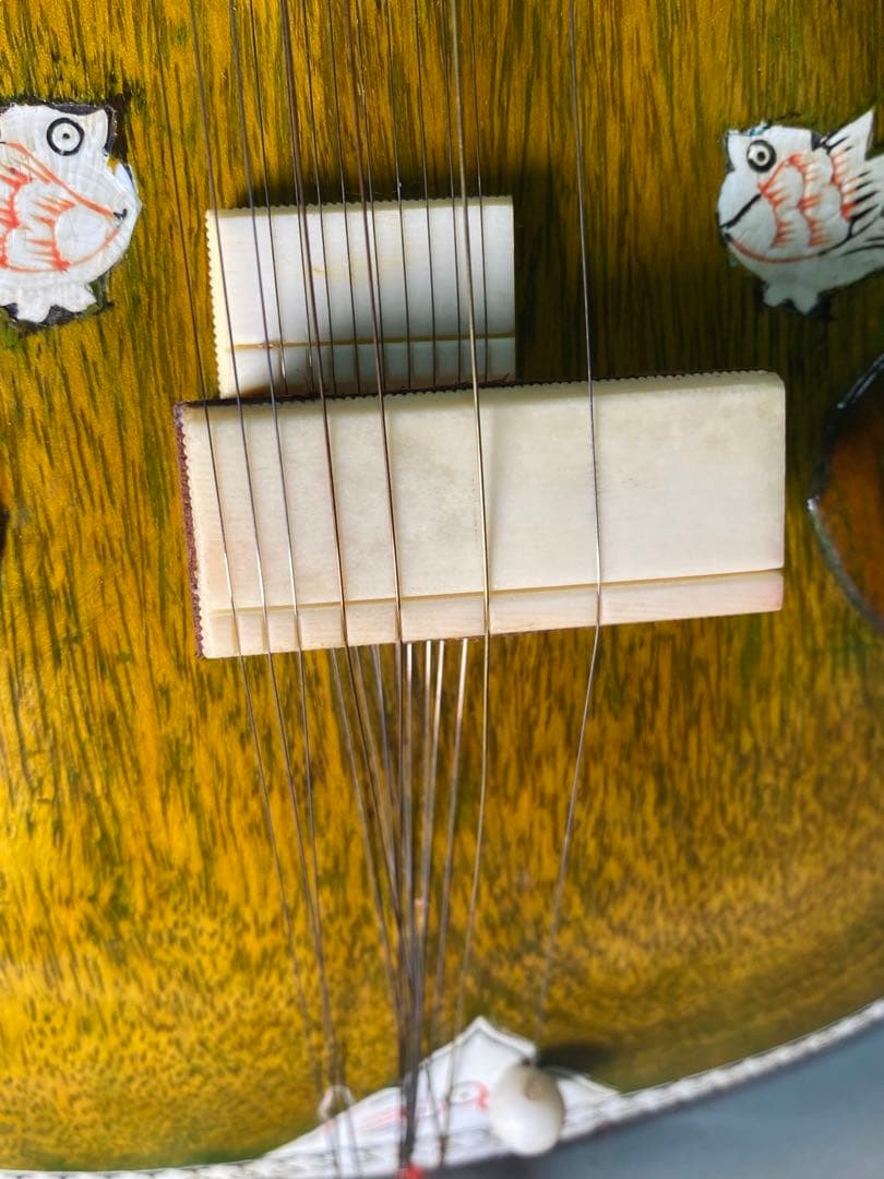 2470❣️ シータル　インド楽器