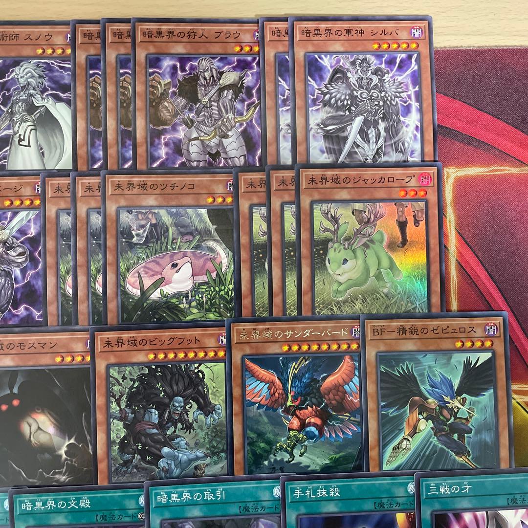 本格構築 未界域暗黒界デッキ スノウ グラファ ビッグフット ネッシー ツチノコ