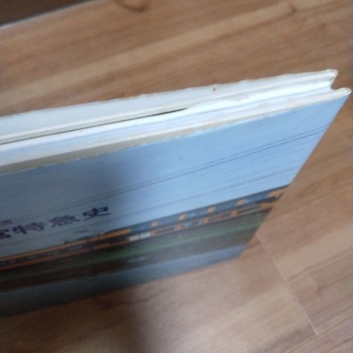 参宮特急史 鉄道写真集 1985年