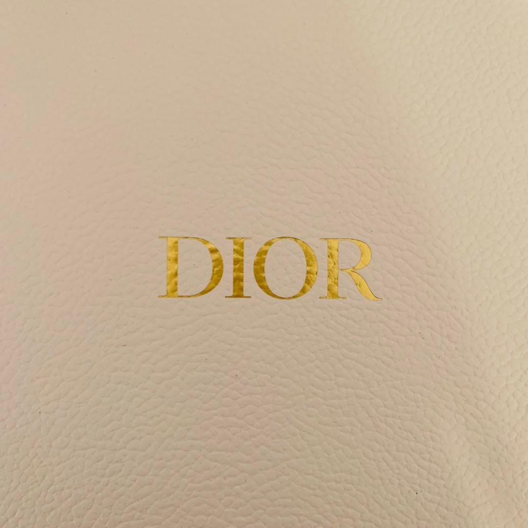 Dior マイチャレンジ パズル