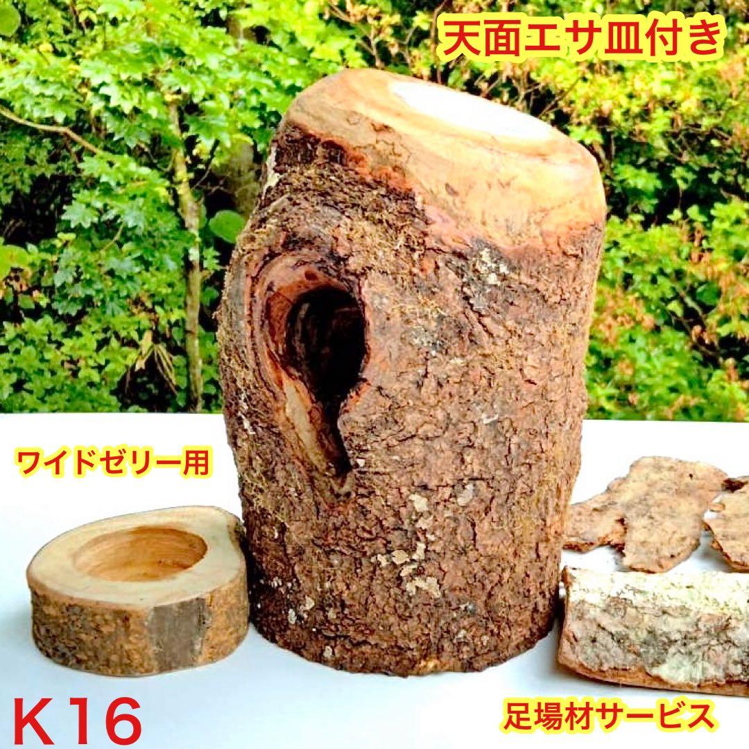 あ様 リクエスト 2点 まとめ商品　隠れ家　樹洞　クワリウム　エサ皿　クワガタ