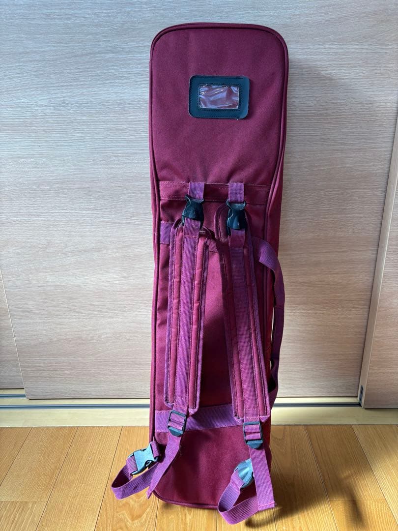 沖縄三線　ヘビ柄 ソフトケース付き