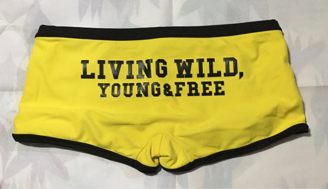 【krunsgri】Vタフ、Lタフ系４点