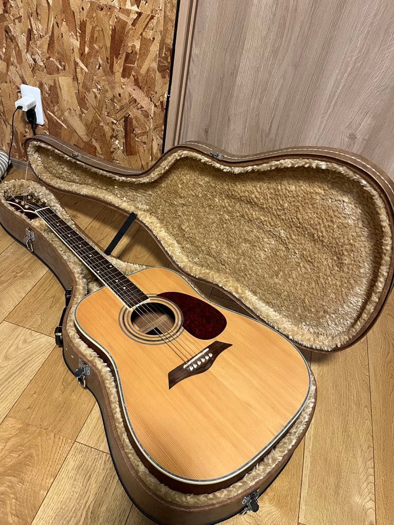 Elioth アコースティックギター　ペグGOTOHマグナムロック改