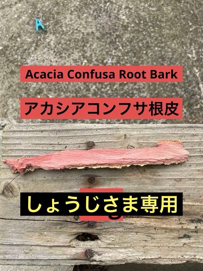 アカシア　Acacia ソウシジュ　相思樹　根皮100% 100g