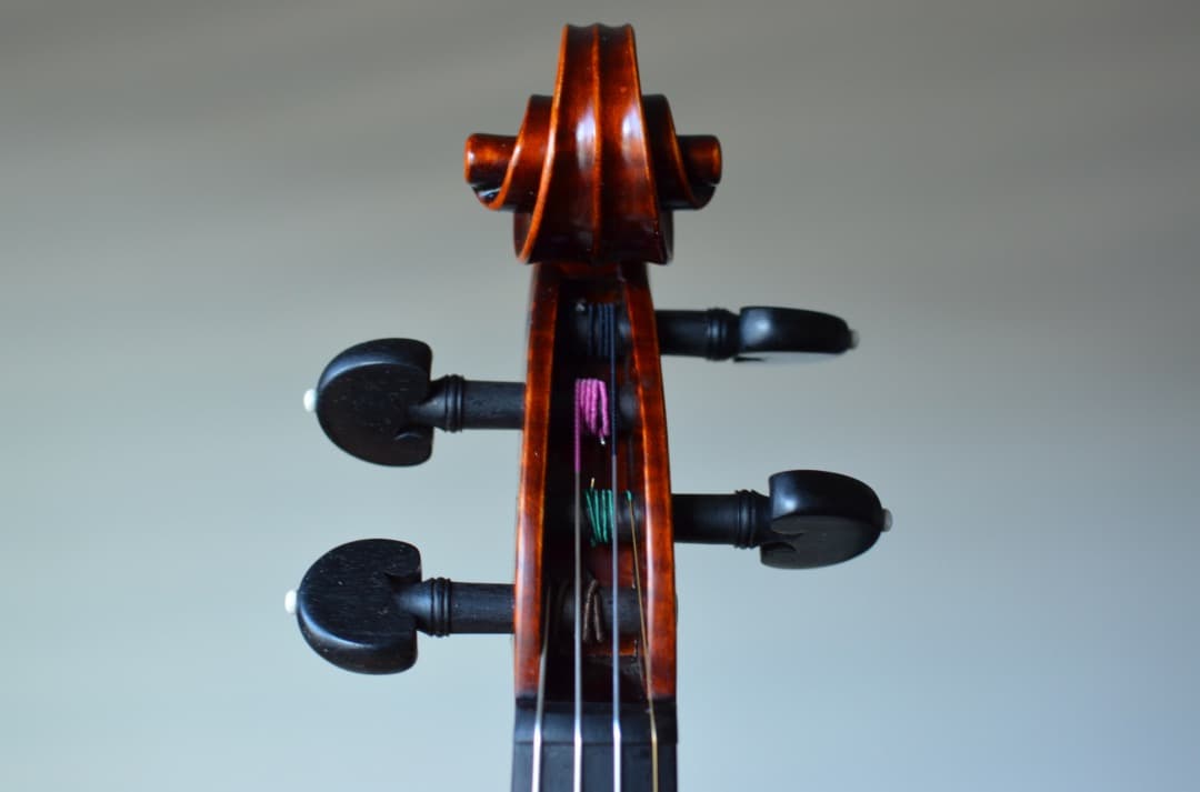 【新品】Gliga Cristian Maestro 4/4 そうちゃん