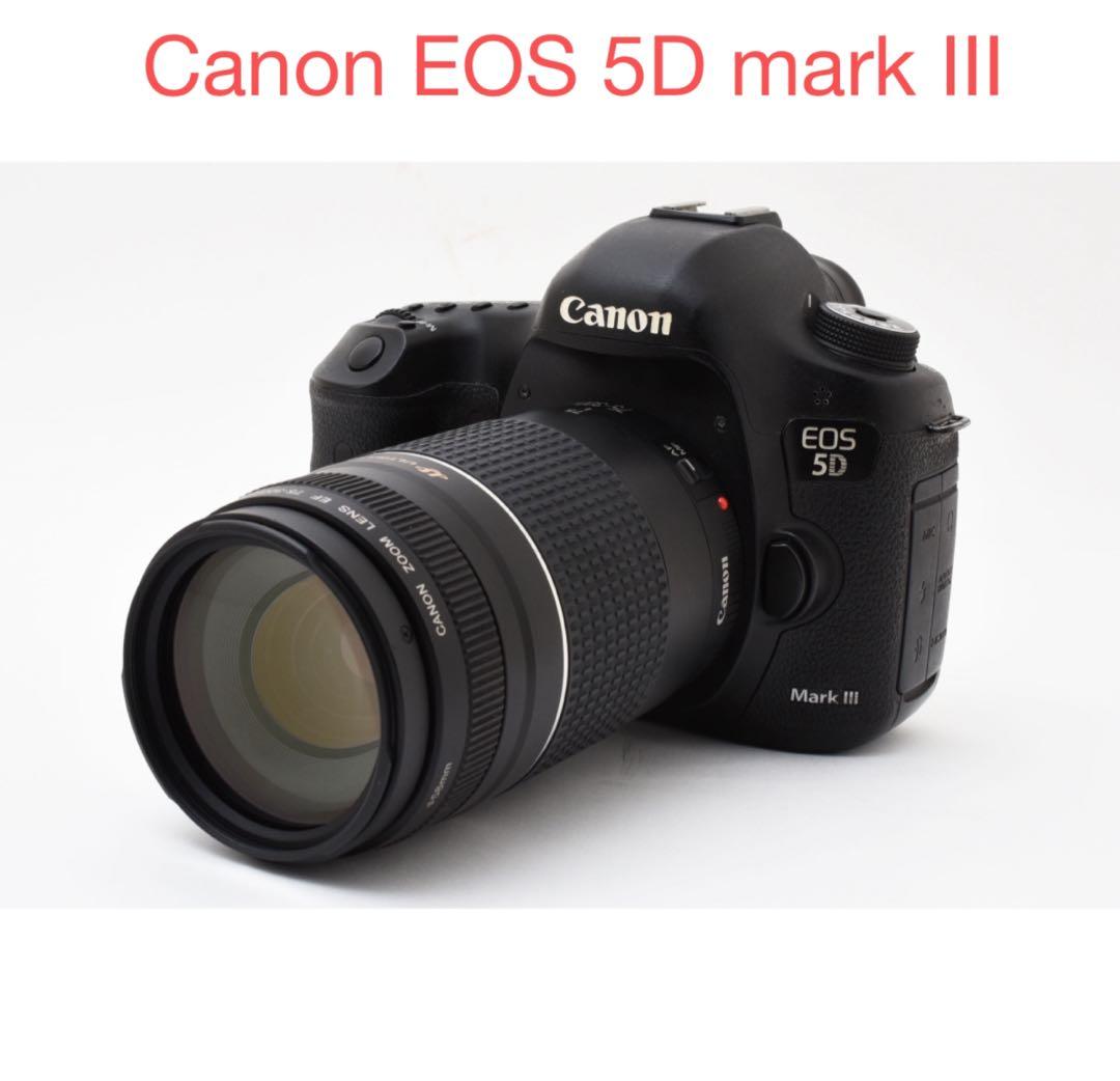 一眼レフカメラ Canon EOS 5D MarkIII 望遠レンズセット