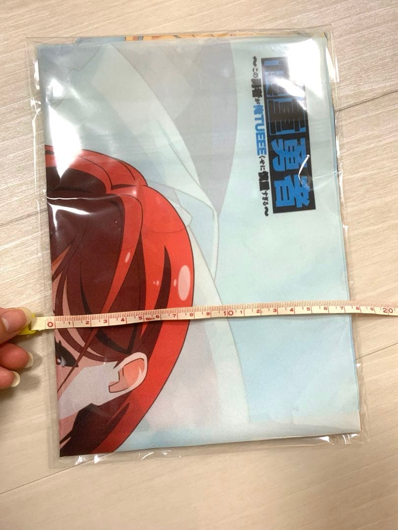 慎重勇者　布ポスター　B2 購入特典　アニメイト