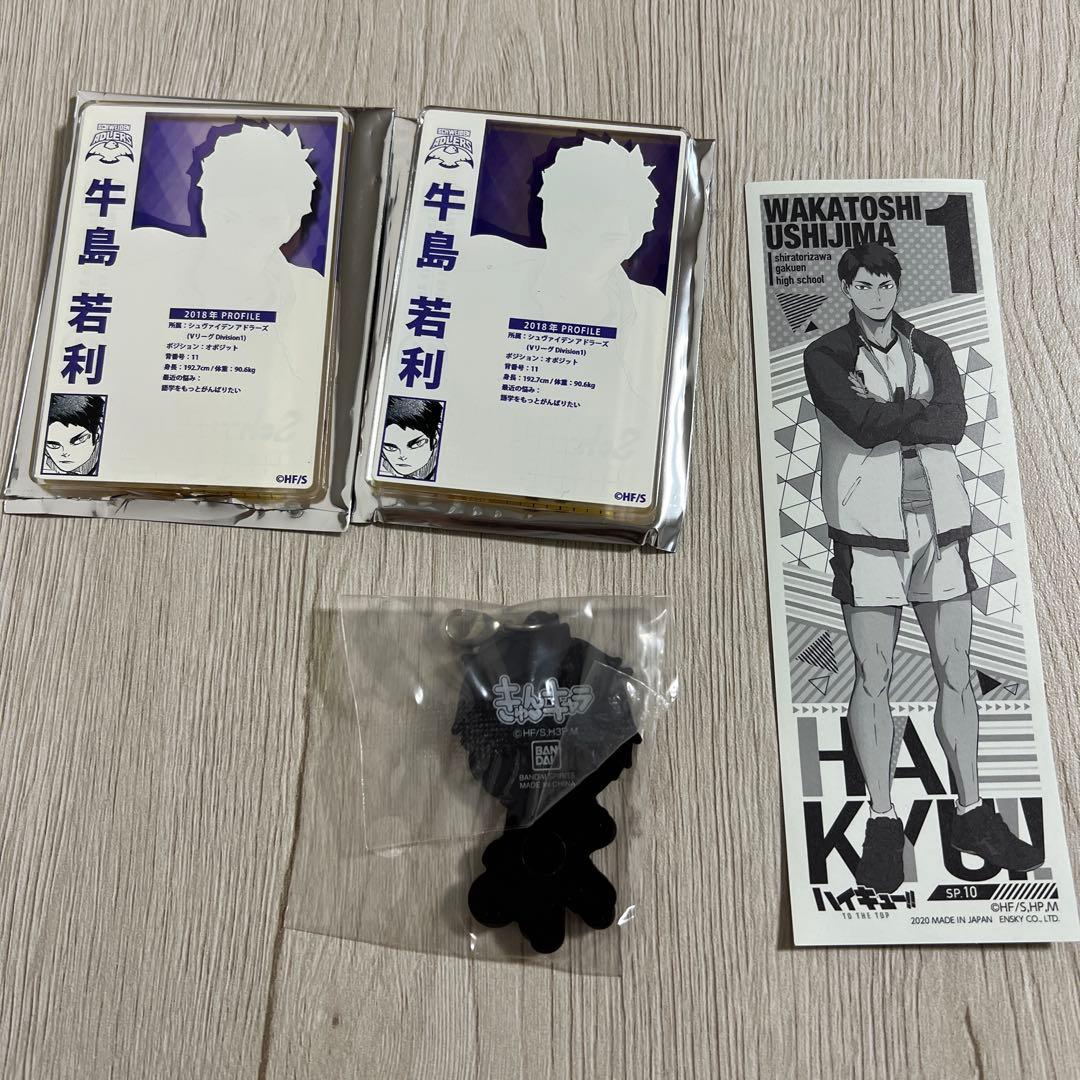 ハイキュー!!白鳥沢学園 牛島若利 コレクターズアイテム16個セット