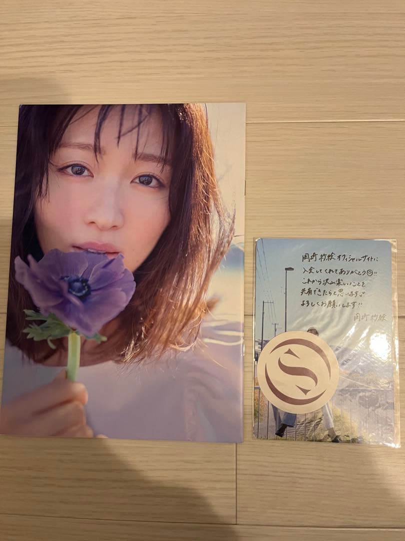 【レア】岡崎紗絵 ミニフォトブック、サンクスカード、ステッカーセット