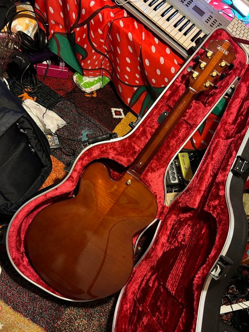 Ibanez フルアコ AFC-151 (ハードケース付き)