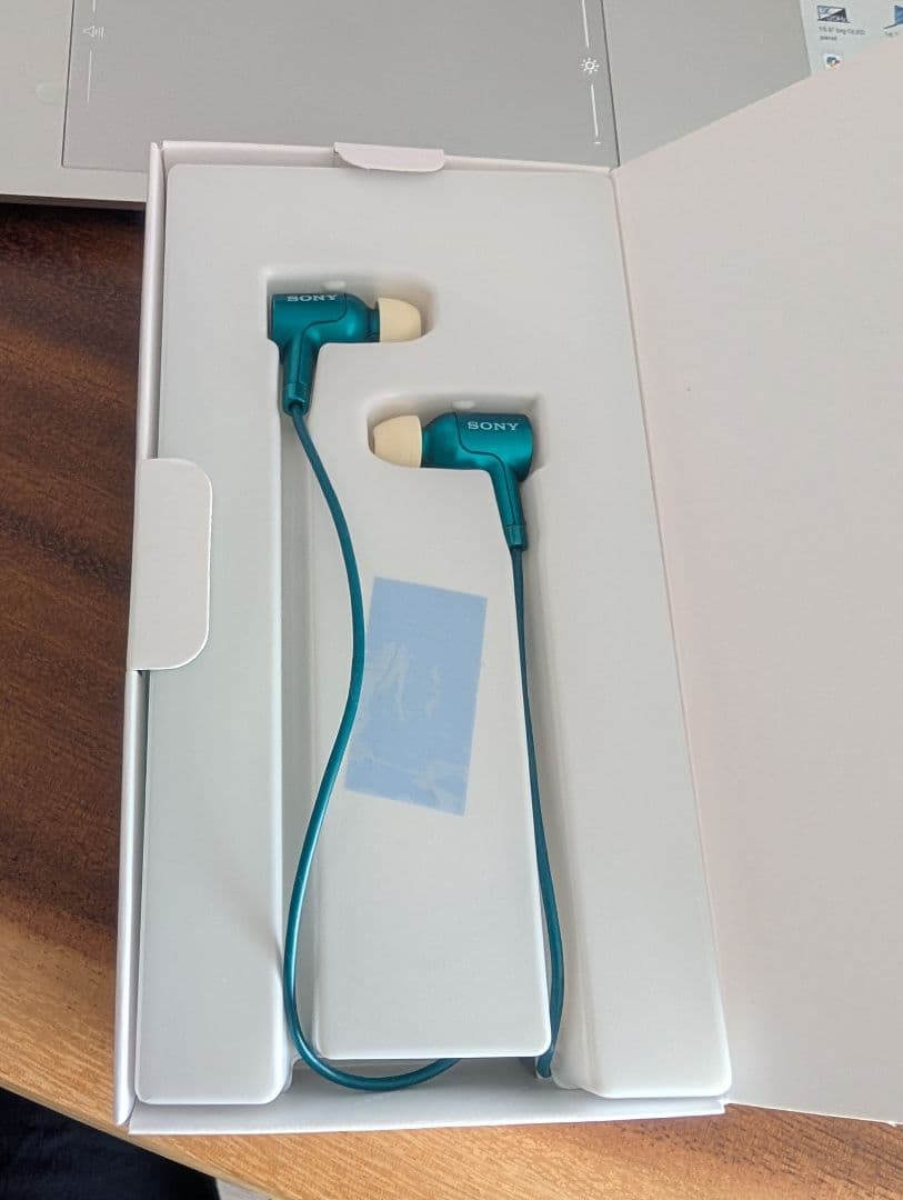 【美品】SONY NW-A25HN デジタルオーディオプレーヤー