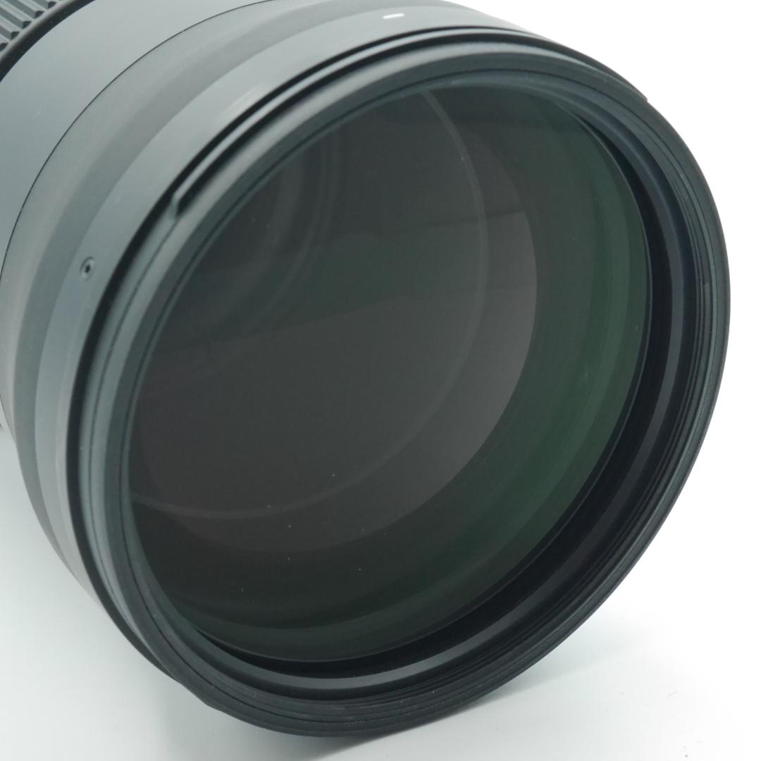 サウスゲート様 シグマ 150-600mm F5-6.3