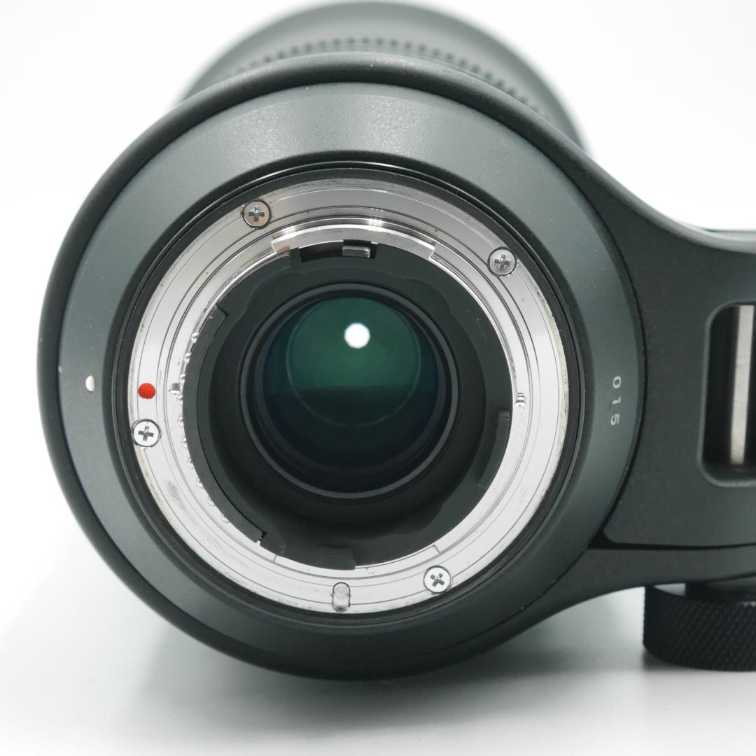 サウスゲート様 シグマ 150-600mm F5-6.3