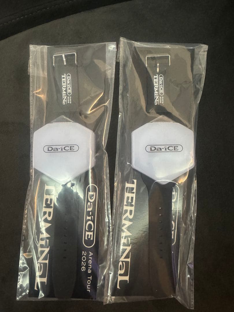 Da-iCE　TERMiNaL 2026 ブレスライト