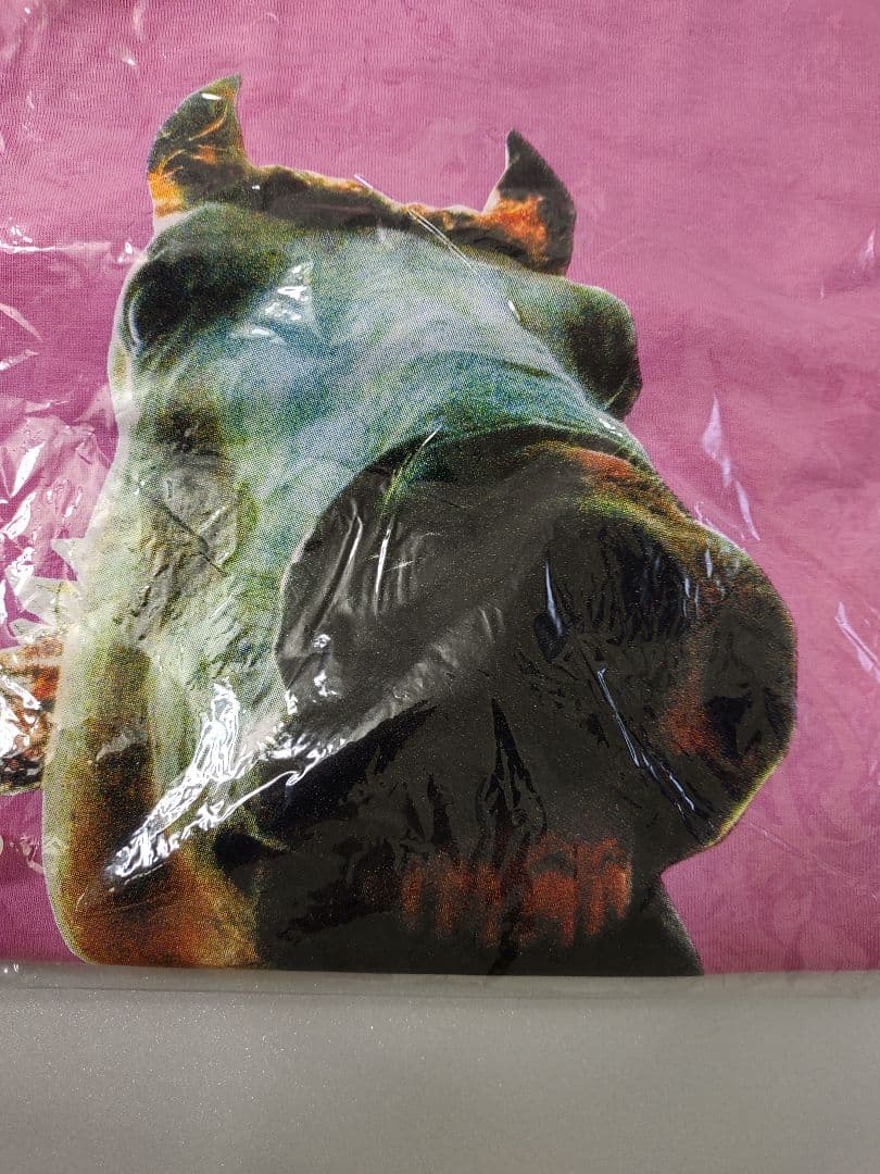 ハイロウズライブTシャツ MサイズDo the mustang