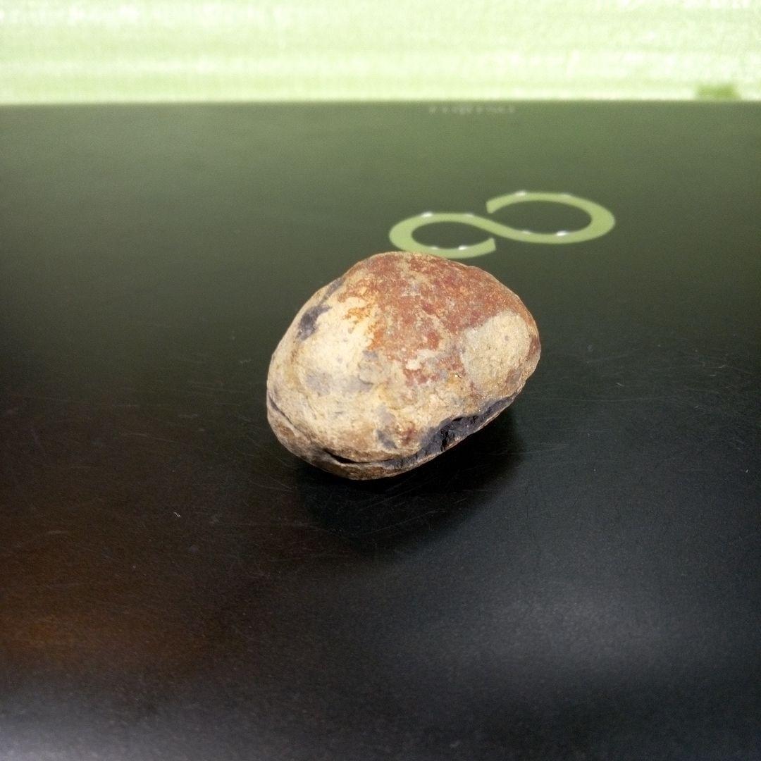 三葉虫　化石　fossil　ボリビア産　trilobite　ノジュール管理⑦