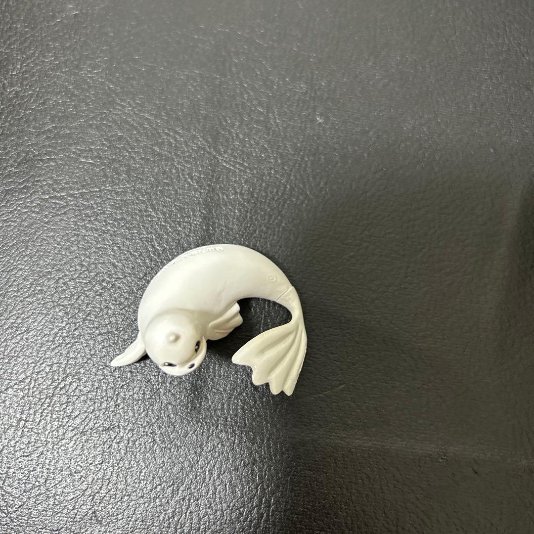 ポケモン モンコレ ジュゴン 色違い