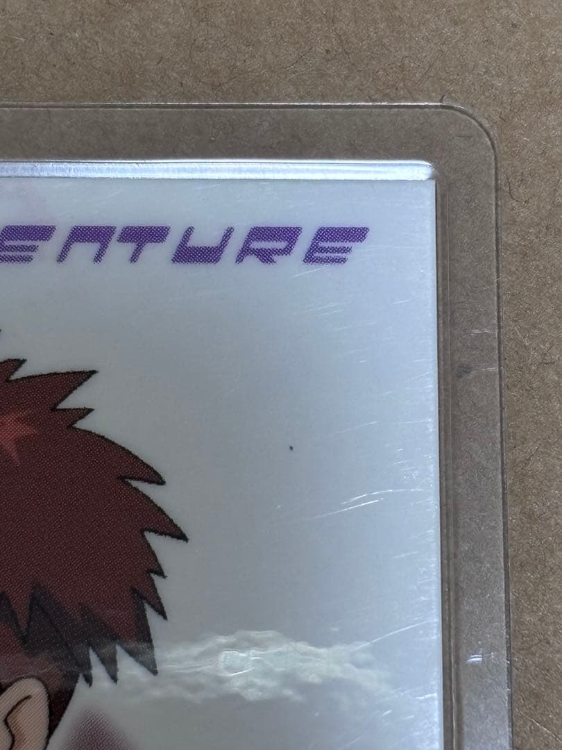 泉 光子郎 カード 初期 デジモンアドベンチャー