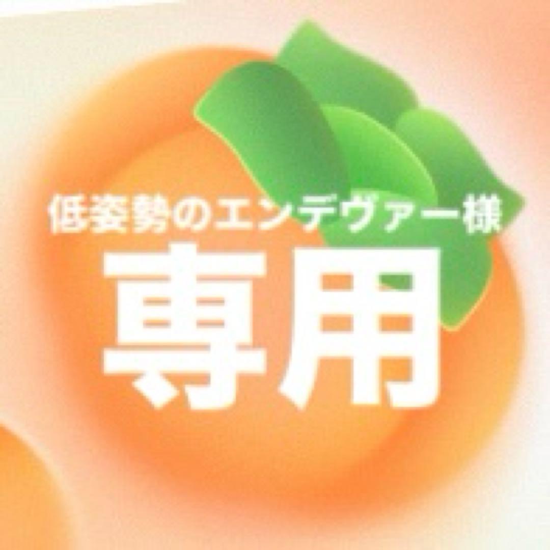 低姿勢のエンデヴァー