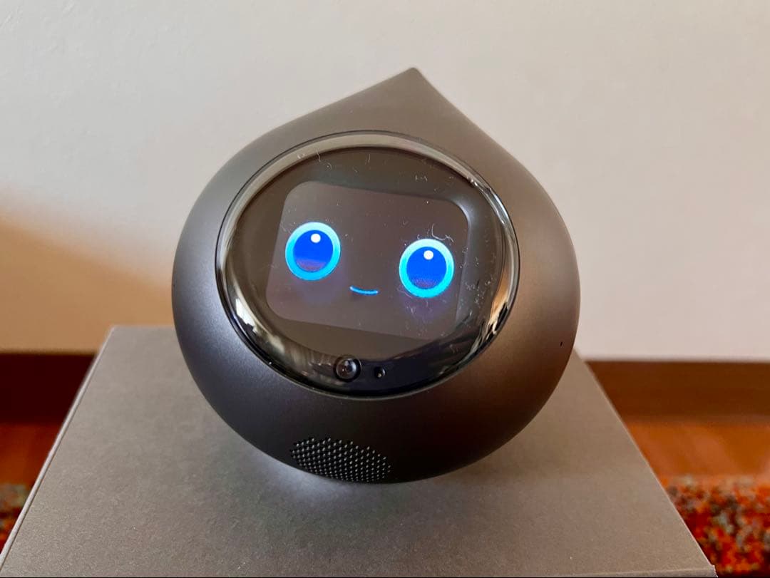 会話AIロボット Romi（ロミィ） Lacatanモデル　ムーングレー