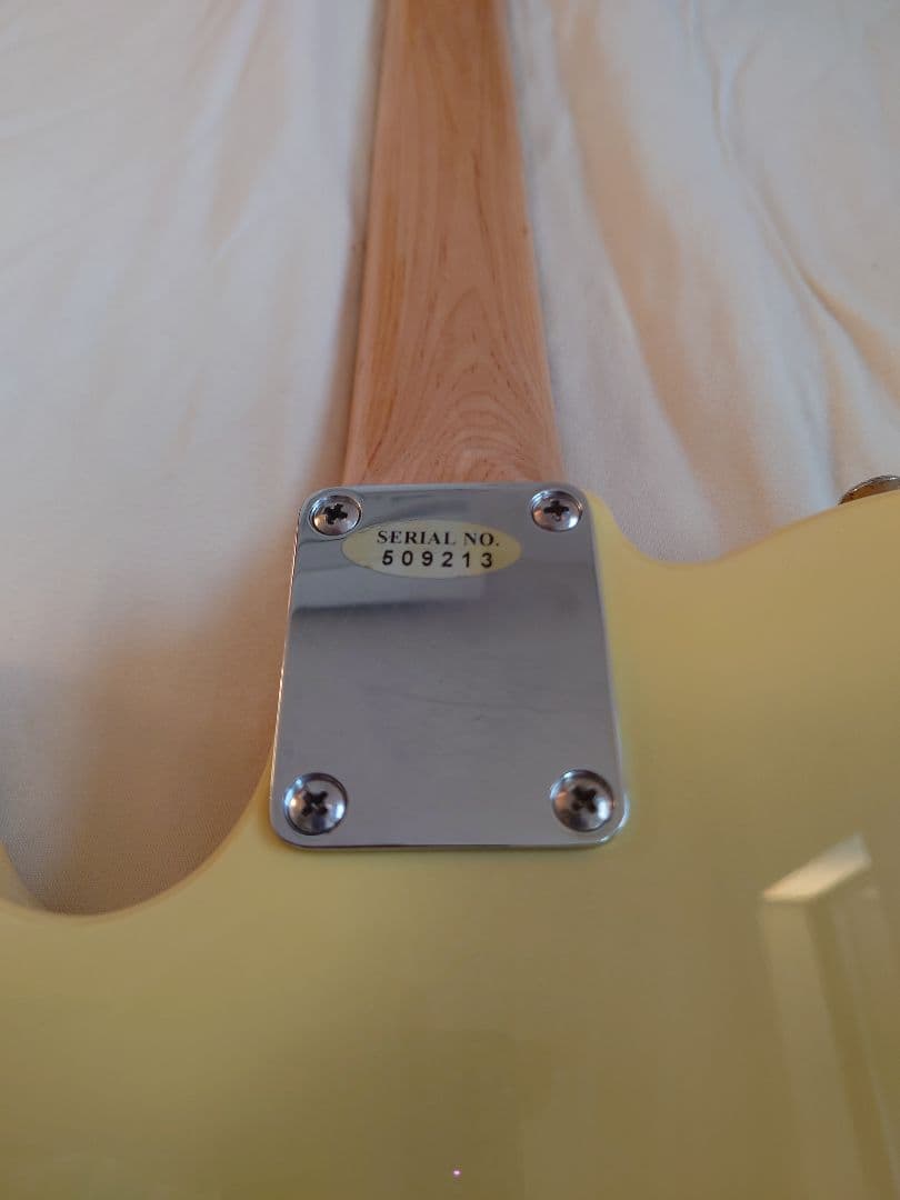 テレキャスター　catrockオリジナル（？）