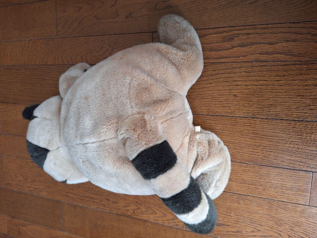 猫のヤーコプ　セキグチSEKIGUCHI ぬいぐるみ