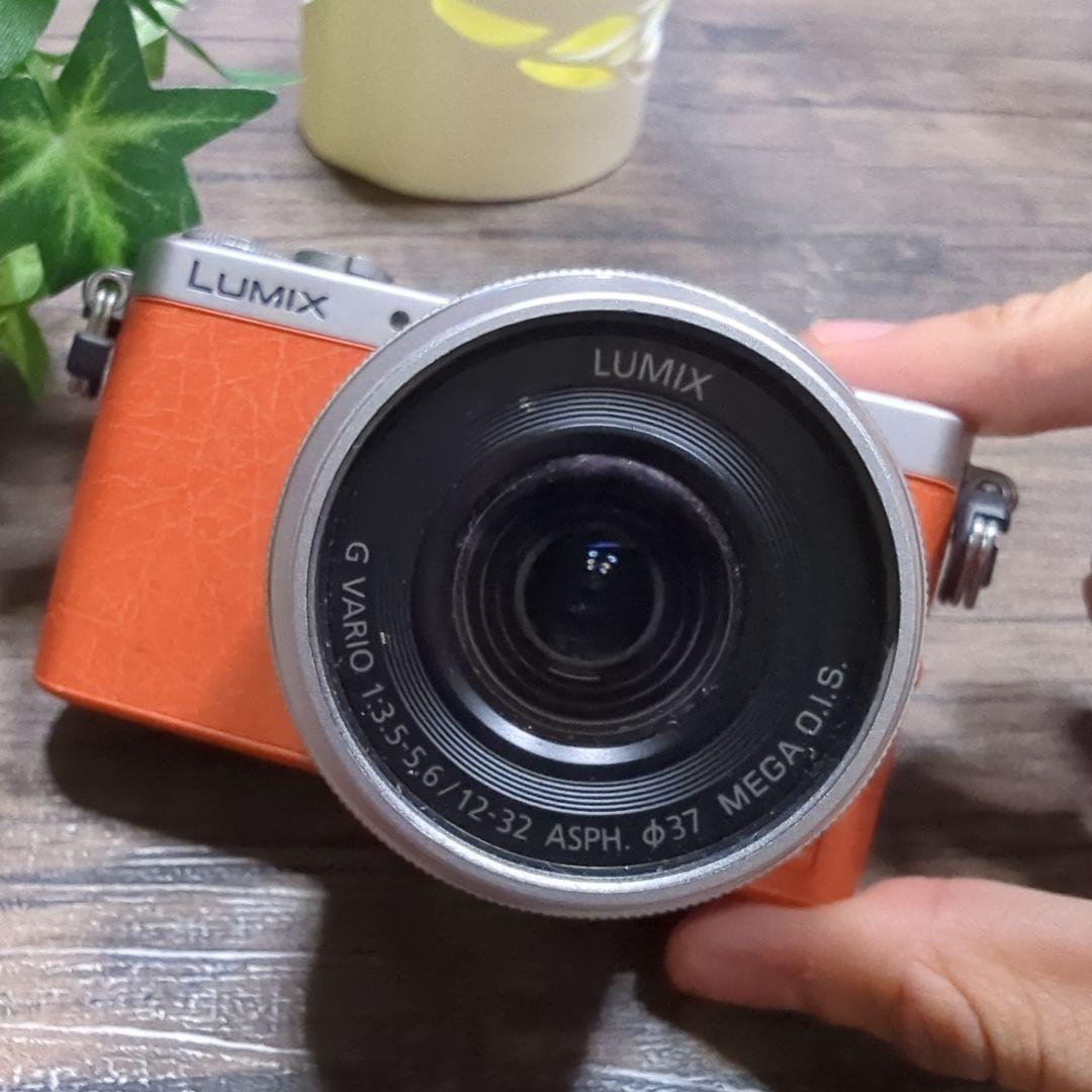 LUMIX　DMC-GM1