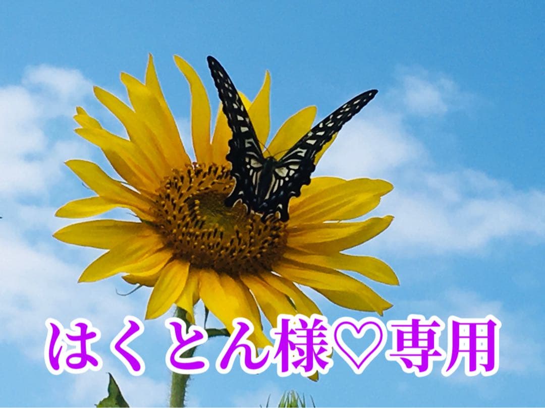 はくとん様❤️おまとめ専用ページです。4/22まで♡