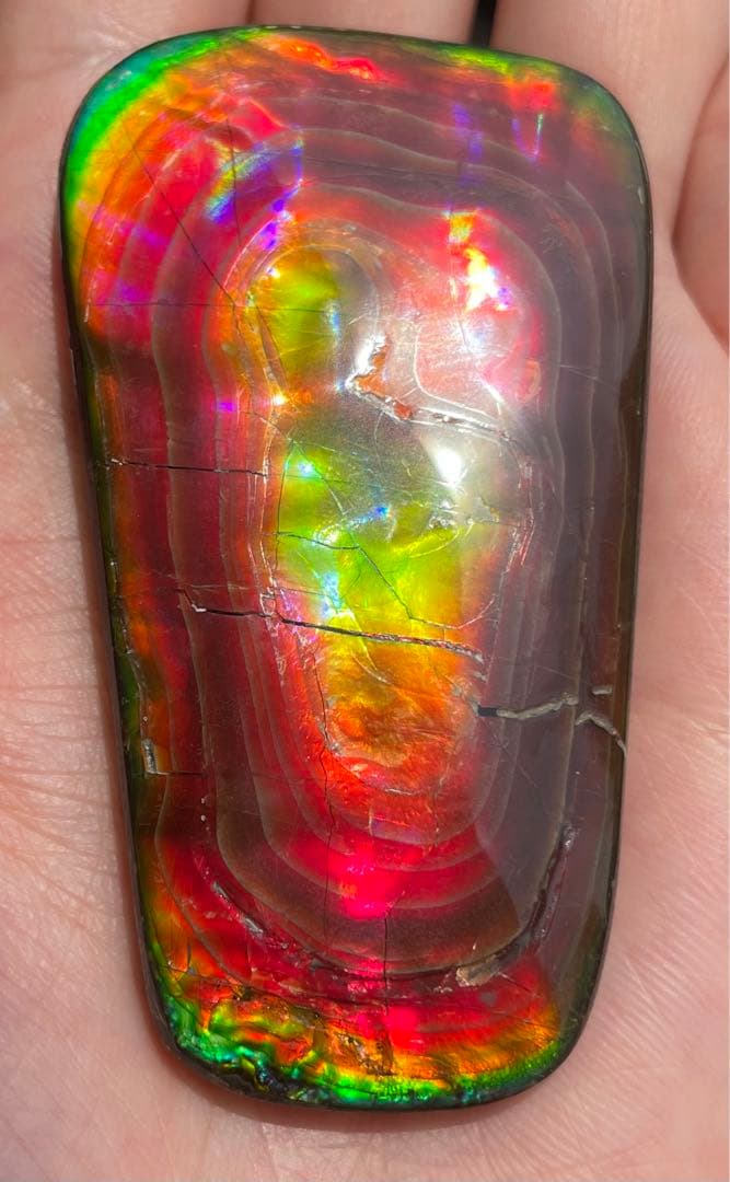 【期間限定セール】アンモライト 天然研磨ルースストーン