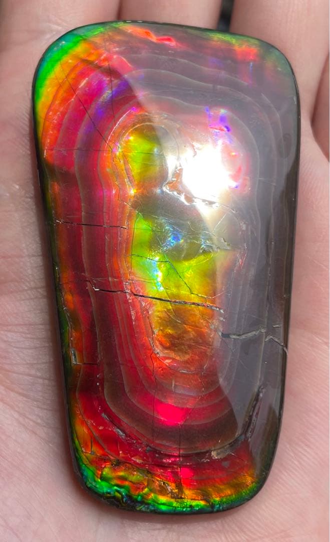 【期間限定セール】アンモライト 天然研磨ルースストーン