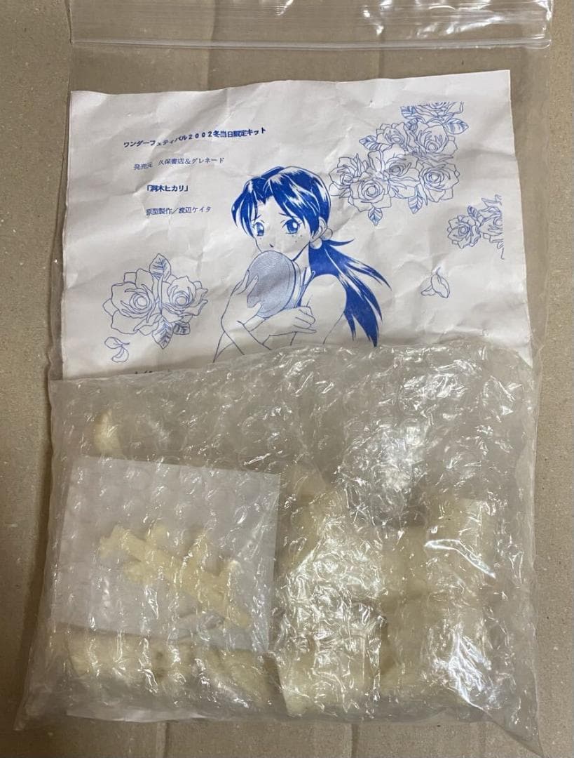 新世紀エヴァンゲリオン 洞木ヒカリ 脱衣補完計画 ガレージキット