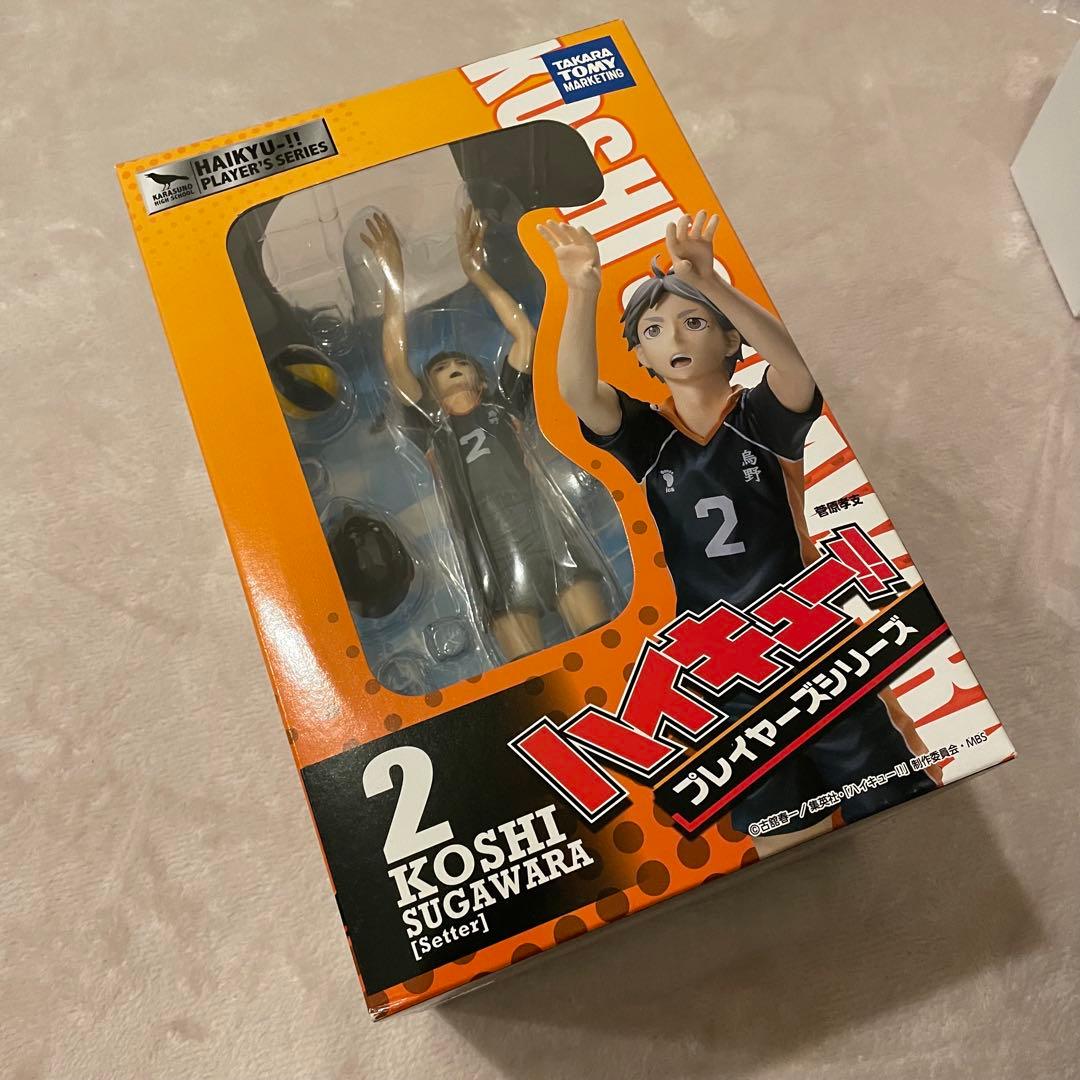 ハイキュー!! プレイヤーズ フィギュア 菅原孝支 1/8スケール 未開封品