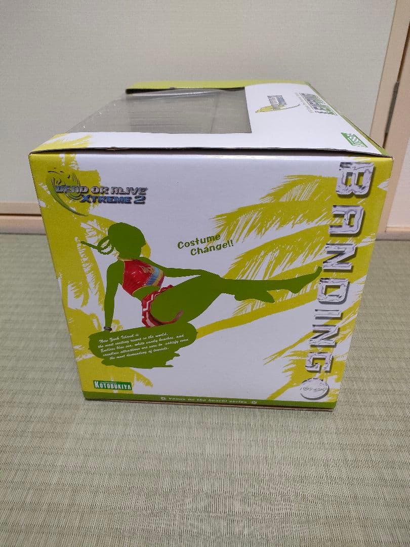 デッドオアアライブ レイファン フィギュア