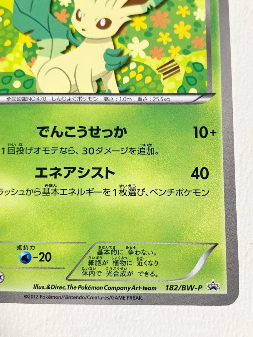 ポケモンカード　bw-p リーフィア　イーブイコレクション　ファイル　プロモ