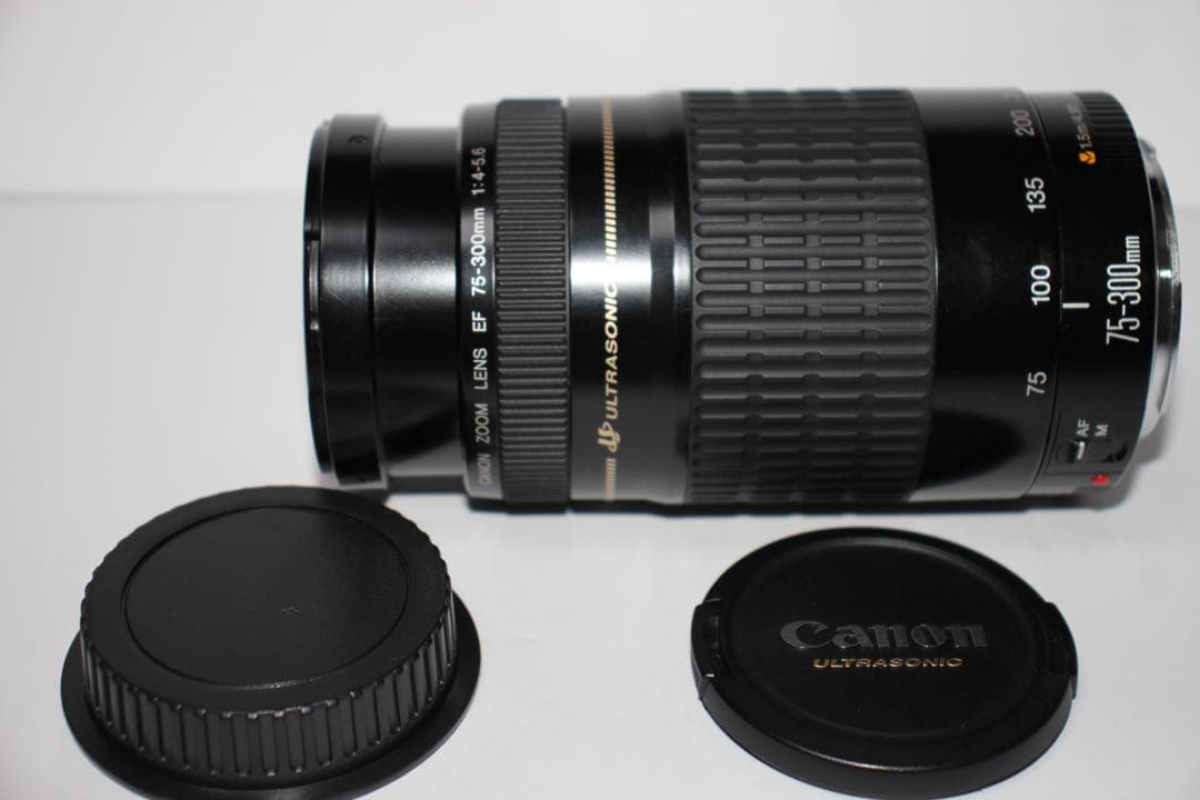 人気の300㎜☆超望遠レンズ☆CANON EF 75-300mm F4-5.6