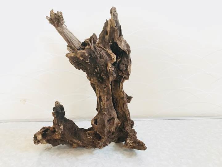 流木 アク抜 15cm