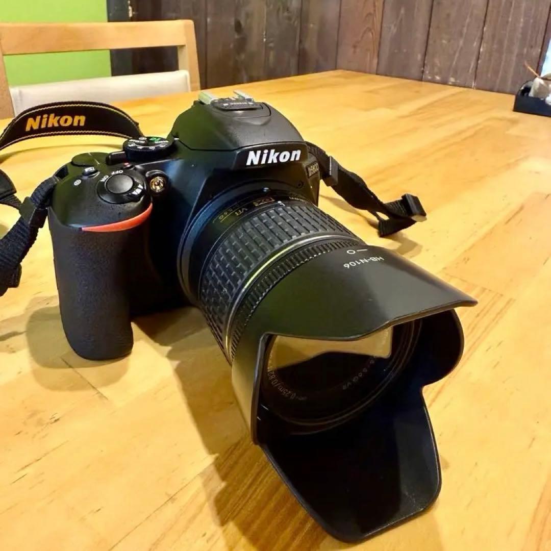 【ショット数 866枚】Nikon D5600 18-55 VR レンズキット