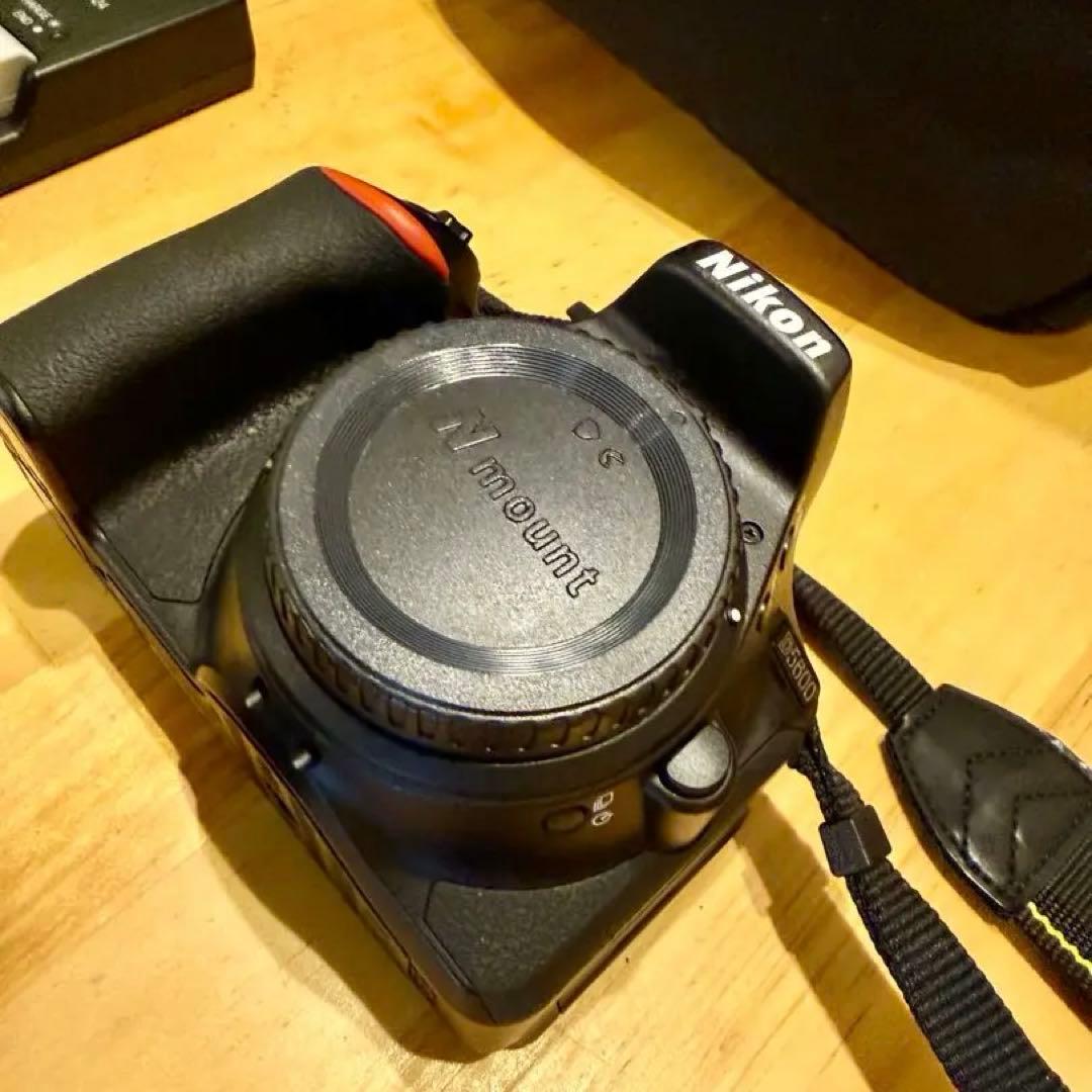 【ショット数 866枚】Nikon D5600 18-55 VR レンズキット