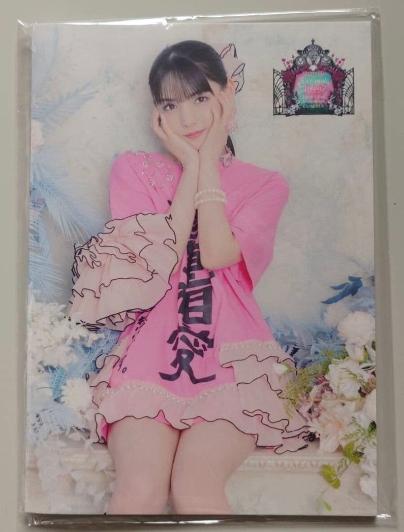 道重さゆみ ビジュアルブック LIVE TOUR 2025 ～SAMSALA～