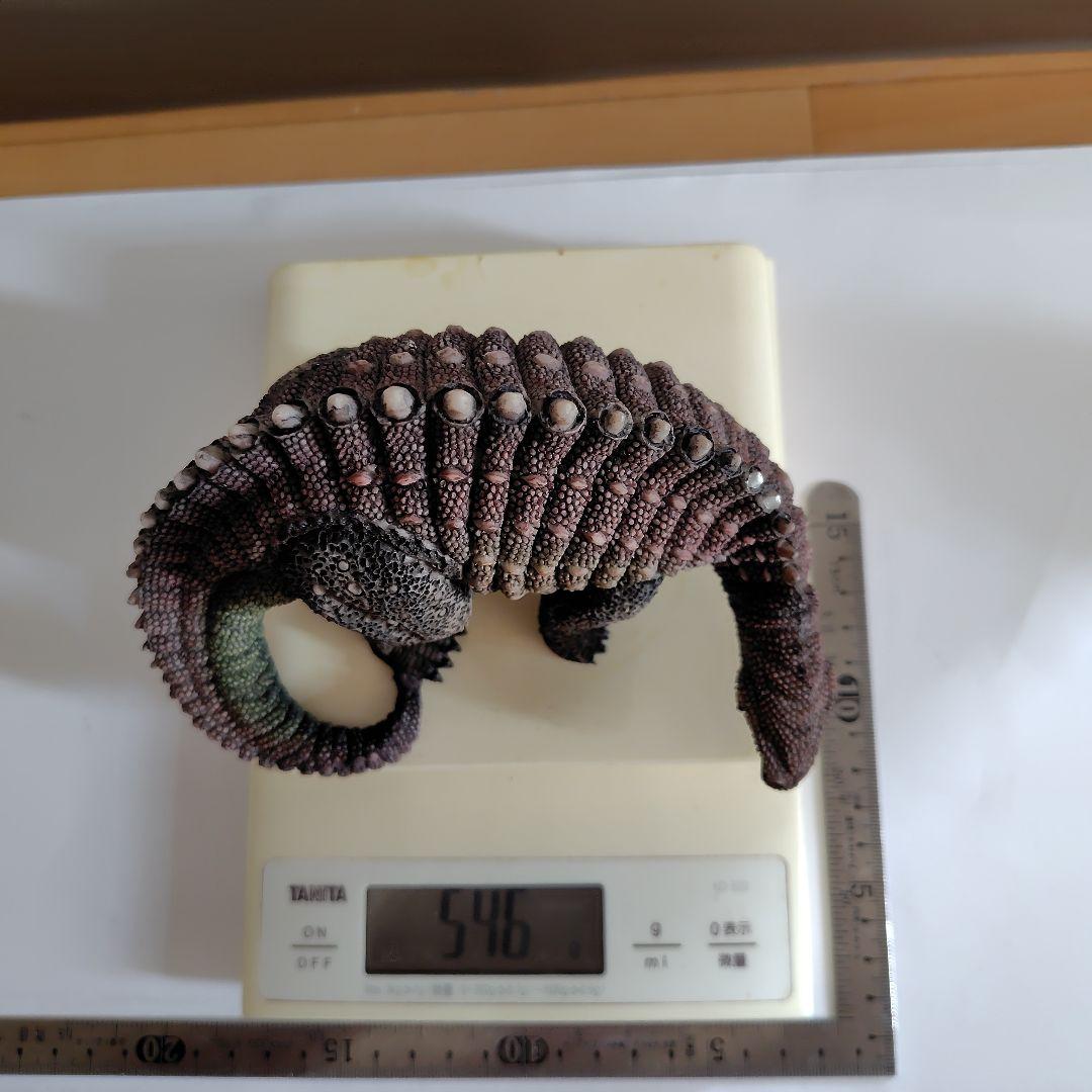 恐竜フィギュア 4体 レトロ 昭和 希少 アンキロサウルス　トリケラトプス