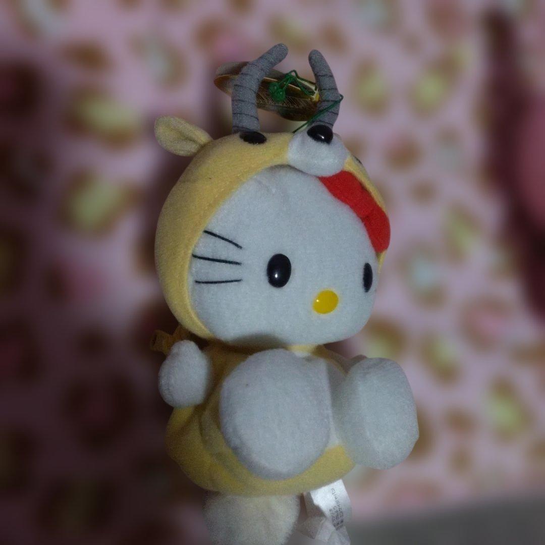 超激レア‼️レトロ‼️キティ 着ぐるみ‼️9 体セット‼️