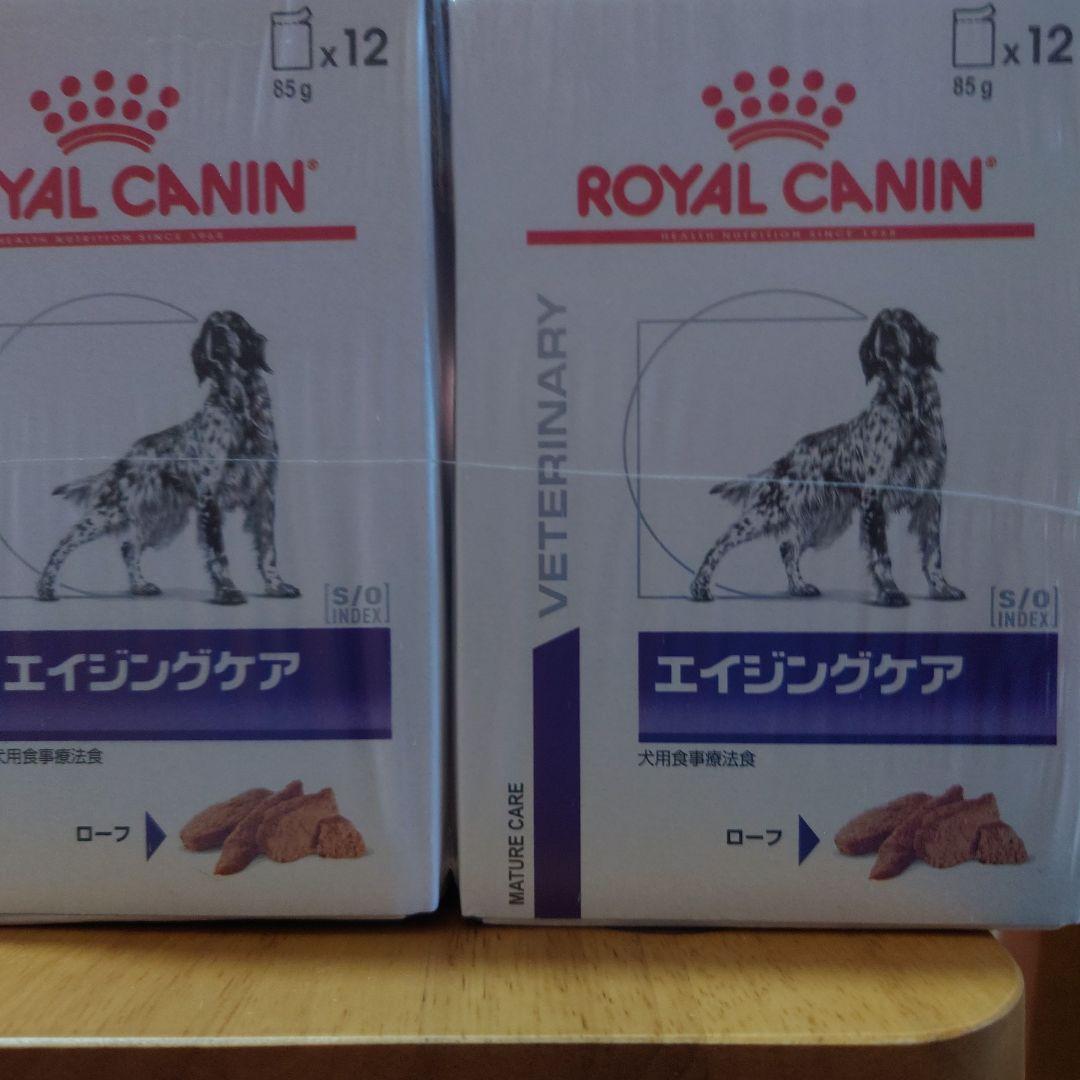  CANIN エイジングケア 85g x 12