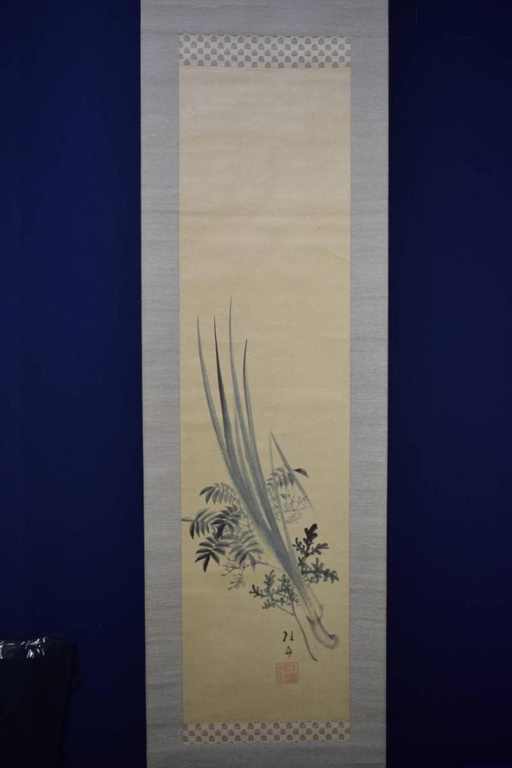 真作/広島県/福山市/羽田桂舟/菖蒲図/桐題箱付/布袋屋掛軸HI-470