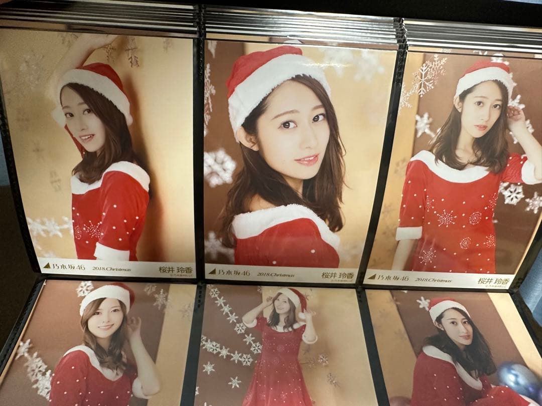 乃木坂46 / メンバー生写真446枚セット まとめ売り / 個別コンプ