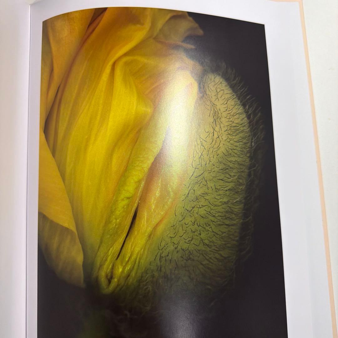 ヘルマン・フォスターリング『Flora Magica』(2006)