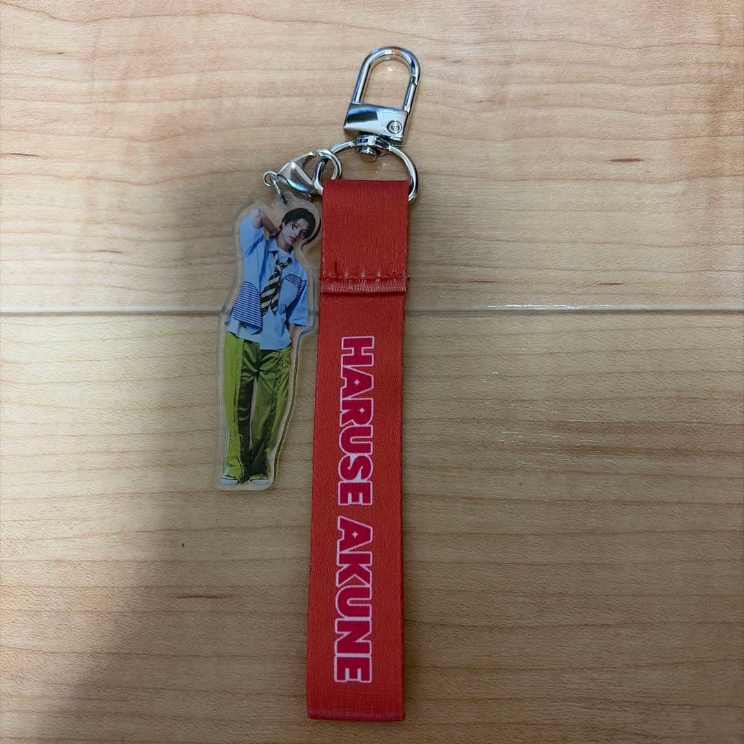 HARUSE AKUNE ぬいぐるみ・アクリルスタンドセット