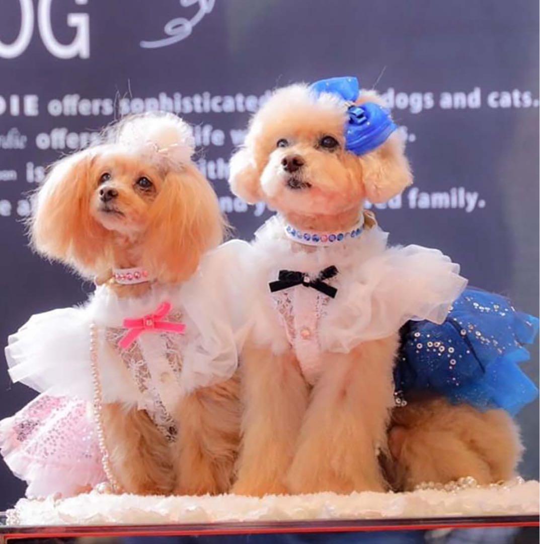 再値下げ【リュクスバーディ】新品タグ付きシリウスドレスSS定価27500円