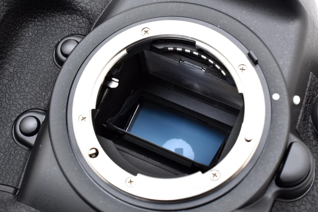 52ショットの■ほぼ新品■ Nikon ニコン D4s #C665