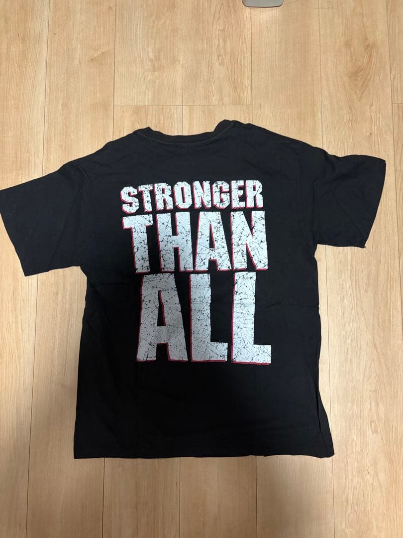 90s PANTERA ヴィンテージ バンドTシャツ L シングル Hanes